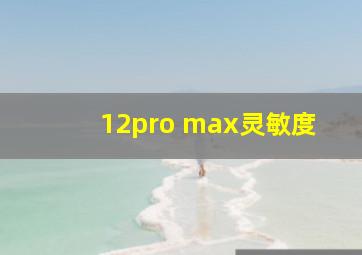 12pro max灵敏度